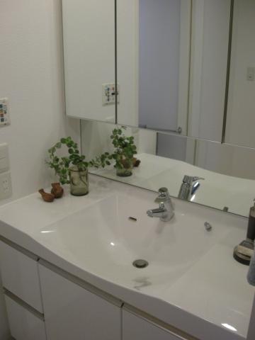 Wash basin, toilet. Wash basin with use meet