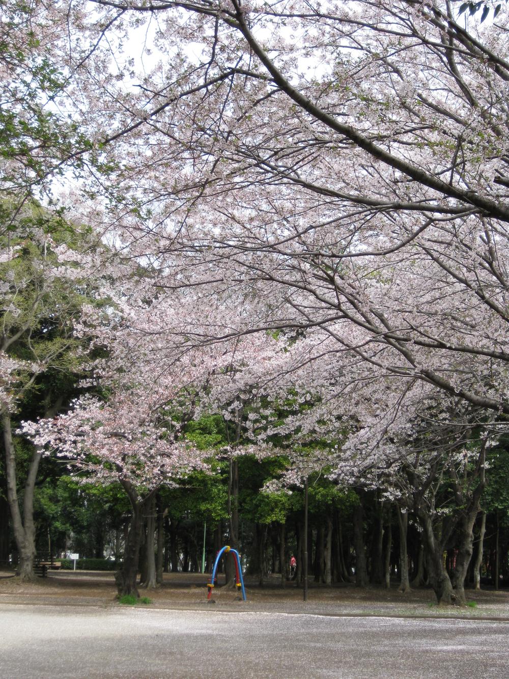 park. 200m to Hitachidai park