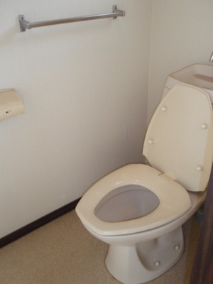 Toilet. Toilet
