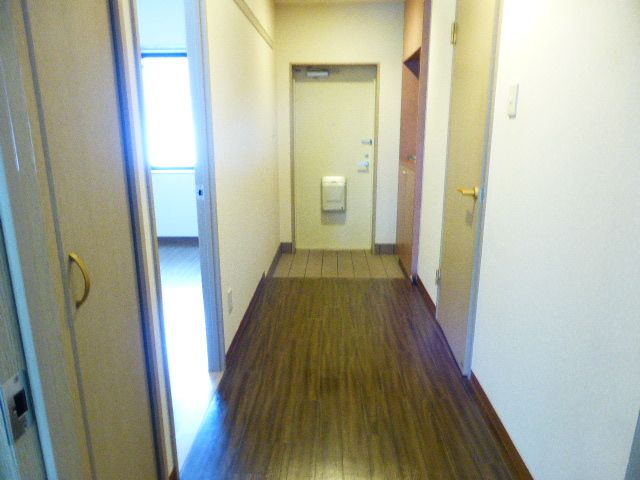 Entrance. Corridor