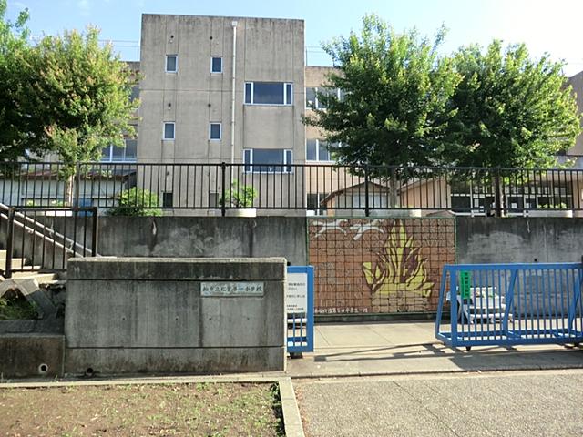Primary school. Kashiwashiritsu pine needles first elementary school to 40m