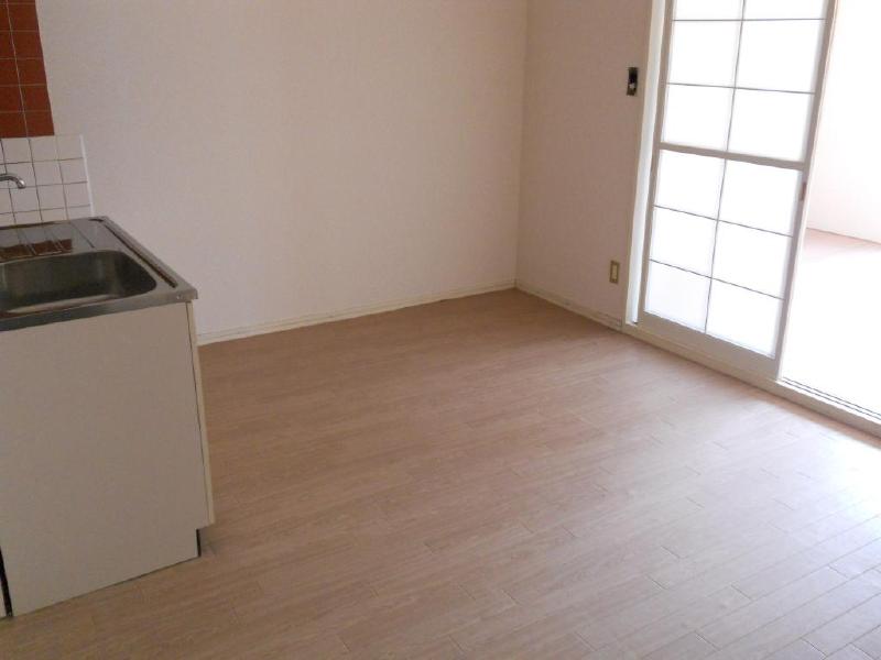 Kitchen. Fairly large dining