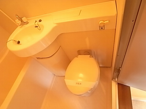 Toilet