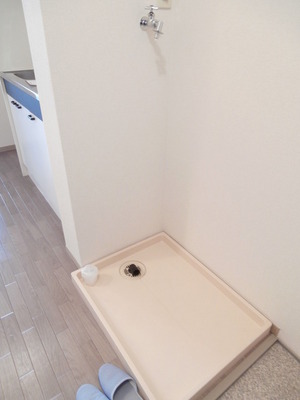 Other. Washing machine in the room