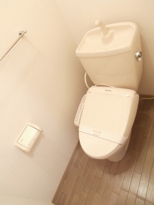 Toilet. Toilet