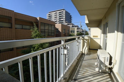 View. Balcony facing south