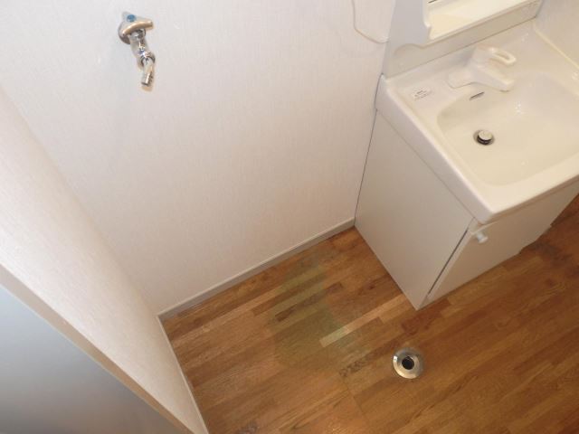 Other room space. Laundry Area