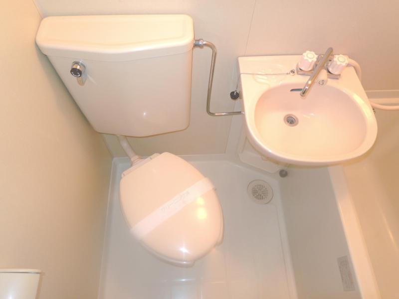 Toilet. Beautiful toilet.