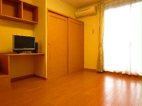 Living and room. Closet there