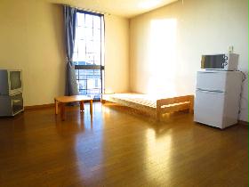 Living and room. Living room