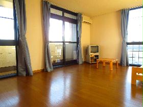 Living and room. Living room