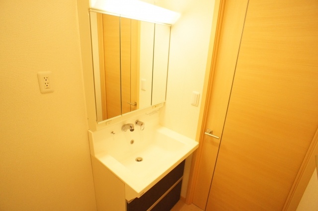 Washroom. Shampoo wash basin