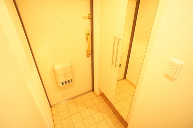 Entrance. Mirror with a shoe box