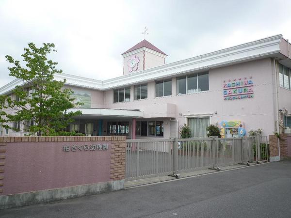 kindergarten ・ Nursery. Kashiwa Sakura kindergarten (kindergarten ・ 1659m to the nursery)