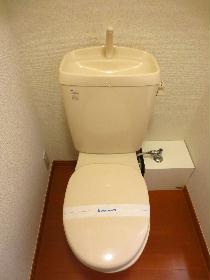 Toilet. Toilet