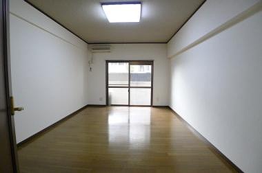 Living and room. Spacious Western-style 9 Pledge