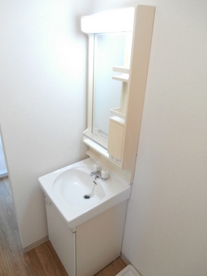 Washroom. Wash basin