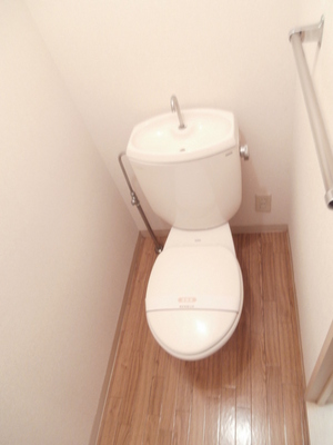 Toilet. Toilet