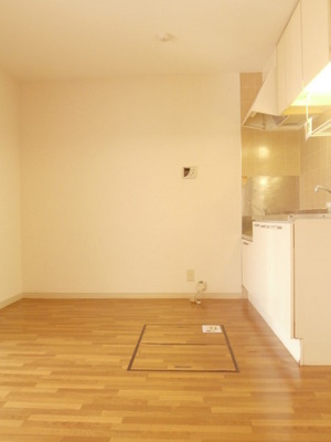 Living and room. DK