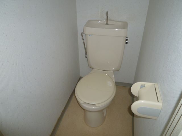 Toilet. Toilet