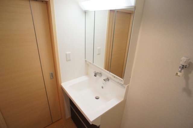 Washroom. Washbasin with shower