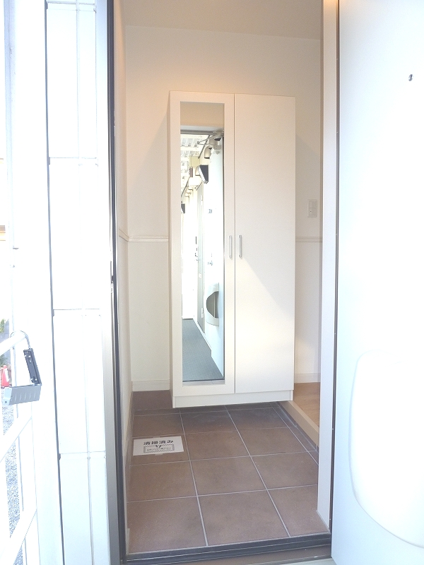 Entrance. Full-length mirror mirror with a large shoe box