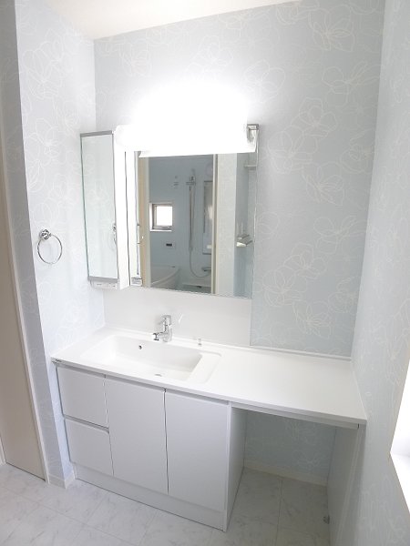 Washroom. Bathroom Vanity