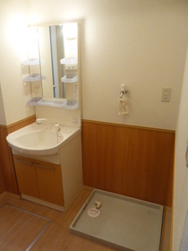 Washroom. Wash basin ☆ Washing machine in the room