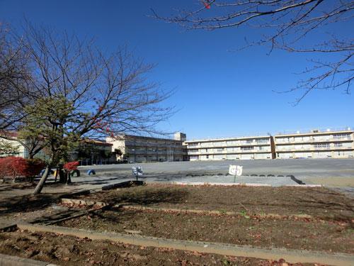 Primary school. 380m until the pine needles first elementary school