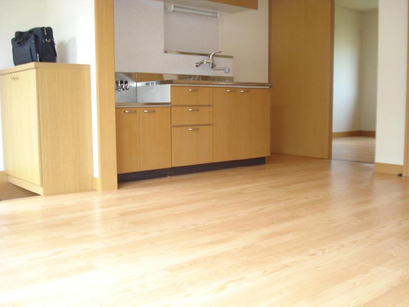 Living and room. All flooring