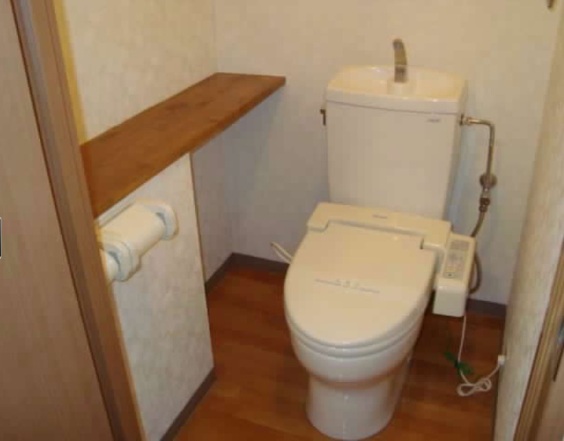 Toilet. Bidet function toilet.