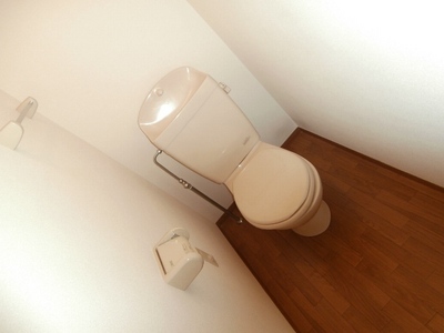 Toilet. Toilet