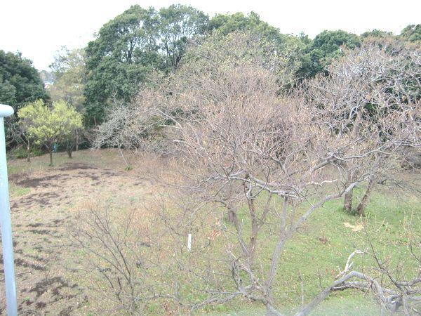 View photos from the dwelling unit. View from local (March 2013) Shooting