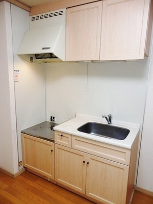 Kitchen. Gas stove corresponding Kitchen