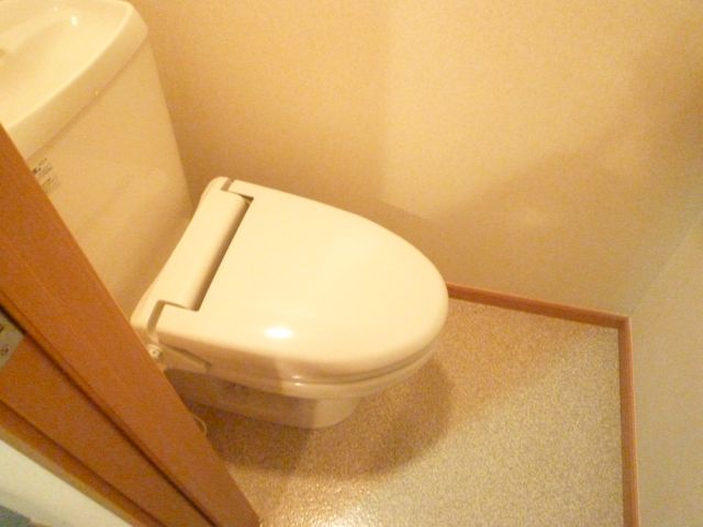 Toilet. Toilet