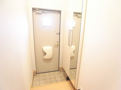 Entrance. Entrance there is a mirror with a shoebox.