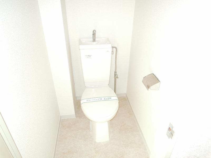 Toilet. It is a normal toilet