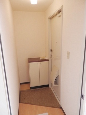 Entrance. Entrance with shoes BOX (Room No. shooting by the same type)