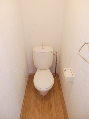 Toilet. Toilet (Room No. shooting by the same type)