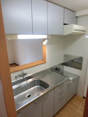 Kitchen. Gas stove installation Allowed Counter Kitchen