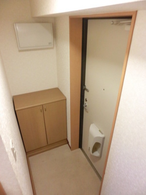 Entrance. Shoe box equipped