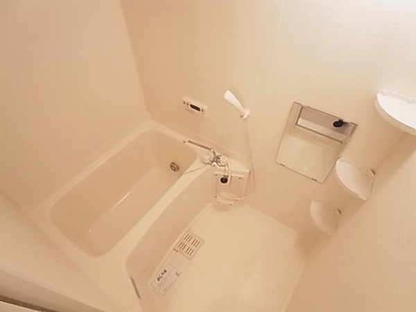 Bath. Isomorphic room photo