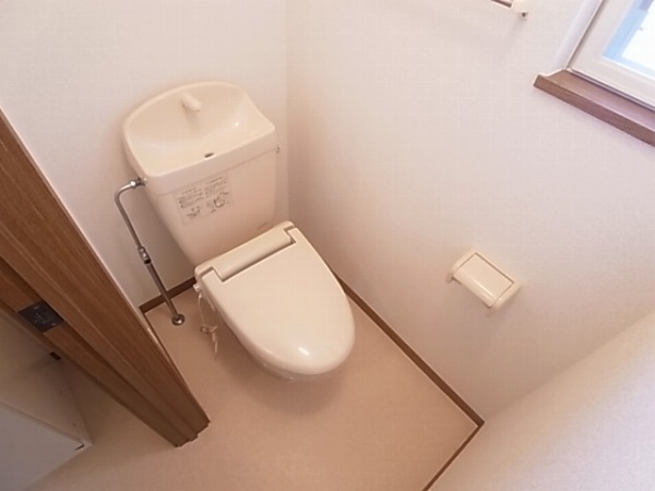 Toilet. Isomorphic room photo