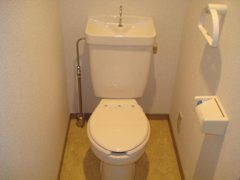Other. Flush toilet