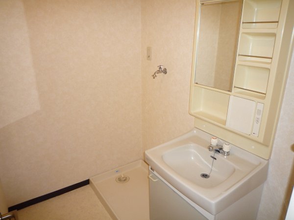 Washroom. Independent wash basin, Laundry Area