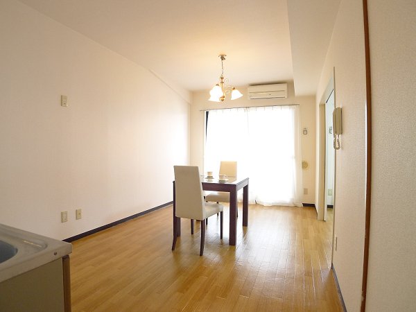 Living and room. LDK