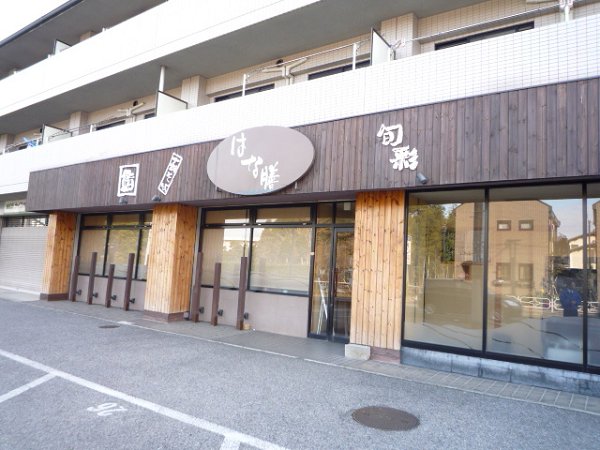 Other. Hanazen Masuo store (other) up to 1m