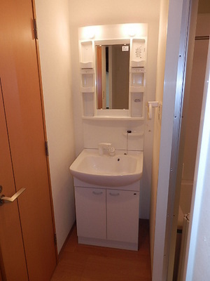 Washroom. Shower Dresser