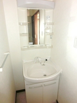 Washroom. Popular shower dresser