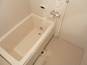 Bath. Hot water (with additional heating function)